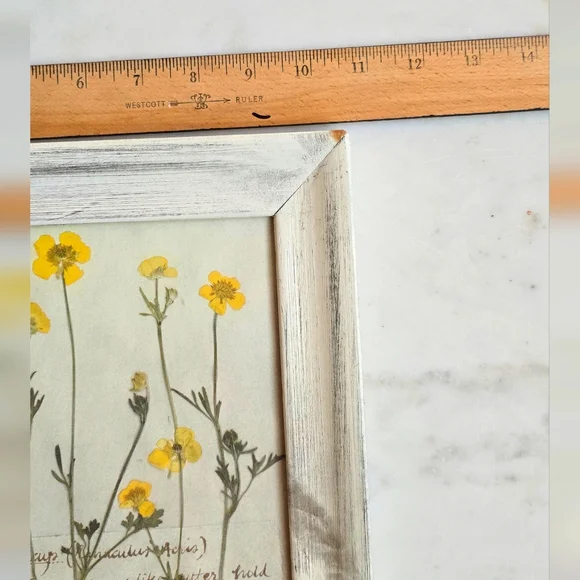 Vintage French framed Buttercup Flower Art - Picture 5 of 7